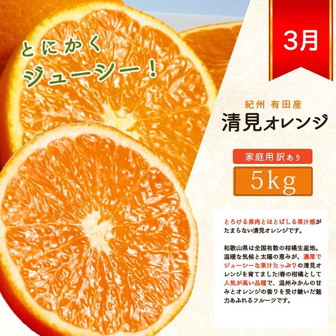 〈定期便〉【1・2・3月 全3回】紀州和歌山産旬のご家庭用柑橘セット(みかん・不知火・清見) ※離島への配送不可