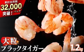えび 冷凍 エビ 海老 ブラックタイガー 大粒 むきえび チャック付き 背ワタ処理済み 時期が選べる 1.2kg 3回 定期便 3.6kg えび 海老 エビ ebi むきえび むき海老 むきエビ 訳あり 不揃い 規格外 海産物 海鮮 大容量 便利 簡単 人気 おすすめ ランキング 北海道 登別市