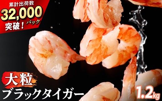 えび 冷凍 エビ 海老 ブラックタイガー 大粒 むきえび チャック付き 背ワタ処理済み 時期が選べる 1.2kg 3回 定期便 3.6kg えび 海老 エビ ebi むきえび むき海老 むきエビ 訳あり 不揃い 規格外 海産物 海鮮 大容量 便利 簡単 人気 おすすめ ランキング 北海道 登別市