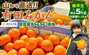 みかん 極早生 山から直送 箱込 5kg (内容量約 4.4kg) 採れたてそのままごろごろ規格 有田みかん 和歌山県産 【みかんの会】［2026年10月上旬頃より順次発送予定］みかん 果物 みかん フルーツ みかん 和歌山 みかん 柑橘類 みかん 和歌山県産 みかん 有田 みかん  AX190