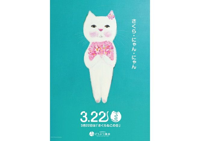 〈選べる豆/粉/ドリップ〉【訳あり】野良猫保護支援 さくらねこ ブレンドコーヒー 富士山の湧き水で磨いた スペシャルティコーヒー【800g/40パック】　珈琲 マイルド スペシャルティ コーヒー 期間限定 山梨 富士吉田