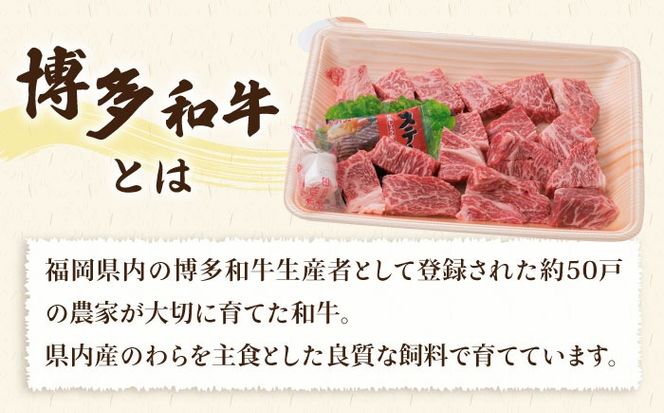 【全6回定期便】【 セット 】A4ランク 糸島 黒毛和牛 ヒレ肉 サイコロステーキ 300g / 博多和牛と糸島華豚入り手作り生ハンバーグ130g × 3個 糸島市 / 糸島ミートデリ工房[ACA297]