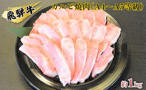 飛騨牛カルビ焼肉（A4～A5等級）約1kg（約250g×4パック） お肉 牛肉 バーベキュー 約1kg 
