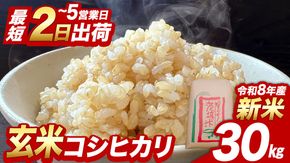 すぐ届く！ 令和8年産 新米 コシヒカリ 玄米 30kg  茨城県つくばみらい市産 ｜ 米 コメ 単一米 コスパ 茨城県産 国産 単一原料米 こしひかり お米
