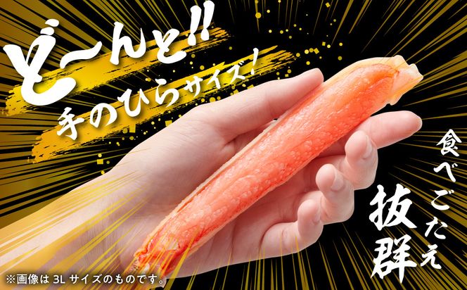 カット済み生ずわいがに 3Lサイズ（内容量1kg/総重量1.3kg）かに カニ ズワイガニ ずわいがに ズワイ ずわい 生ズワイガニ 生ずわいがに 蟹 カット済 ポーション 1kg 3Lサイズ 食べ応え 抜群 カニしゃぶ 雑炊 冷凍 グルメ 北海道 函館市 送料無料_HD065-008