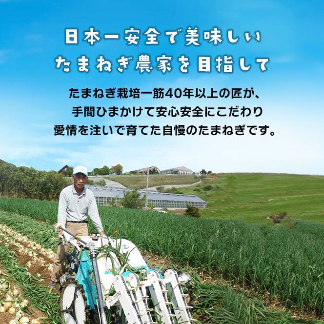淡路島たまねぎの皮ブレンド茶 ティーバッグ 90包