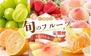 【フルーツ定期便・全6回】品質に自信あり！くしがきの里から直送　厳選した果物を最高のタイミングでお届け♪ / 定期便 桃 もも みかん 柑橘 シャインマスカット マスカット いちご 不知火 はれひめ イチゴ 苺 果物 フルーツ 6回【kgr530-ku6】