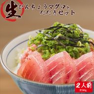 那智勝浦直送！天然もちもち生ビン長まぐろとたたきセット　2人前 / マグロ 鮪 ビンチョウ びんちょう 魚 海鮮 海鮮丼【uot804】