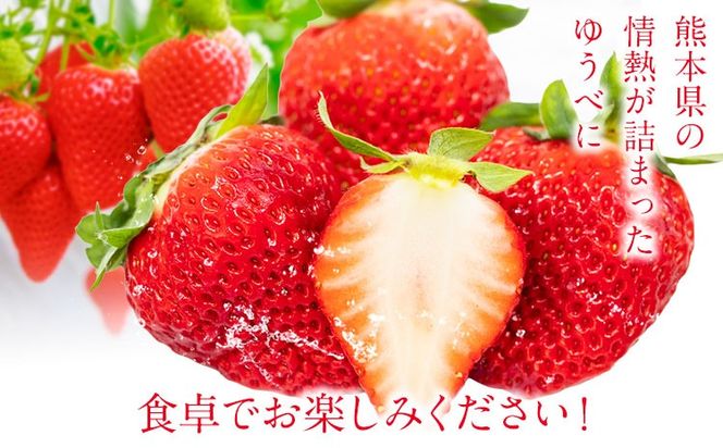 ゆうべに 約1kg 250g×4パック エフビーネット 道の駅竜北《2027年1月上旬-4月中旬頃出荷》熊本県 氷川町 苺 フルーツ 国産 果物 熊本県産 冷蔵 小分け 旬 いちご---hkw_efb_3_1kg---
