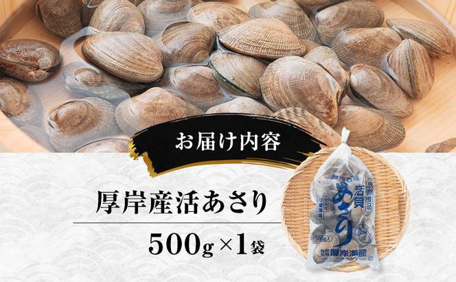 【10月発送訳あり 北海道 厚岸産 砂出し済み 活あさり 500g×1【厚岸海産】[ アサリ 魚貝 海鮮 大粒 美味しい 栄養 旨み 砂出し 水洗い 冷蔵 便利 ] 