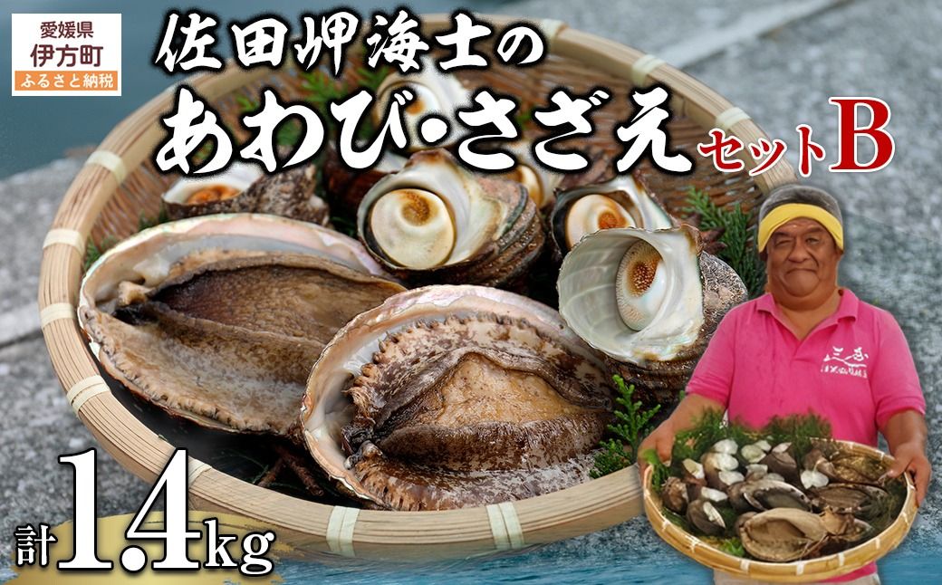 [数量限定]佐田岬海士のあわび・さざえセットB ※北海道・東北地方・沖縄・離島への配送不可