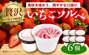 いちごソルベ いちご アイス ジェラート 愛西市 / しのだ農園-SHINODA FARM-[AECE007]