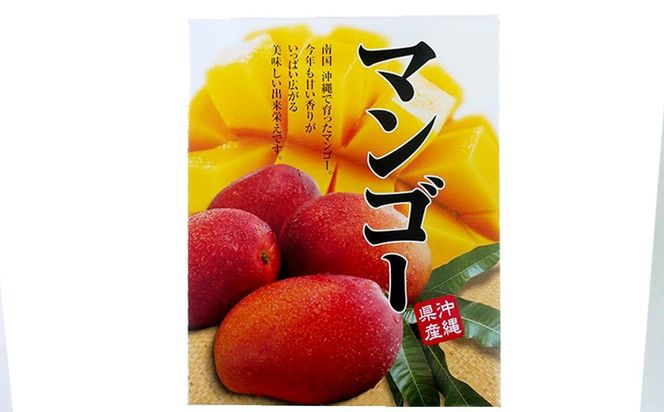 【2026年発送】大宜味村産 アーウィン種マンゴー　優品2キロ以上（青ぎりシークワーサー700ｇ付き） フルーツ 果物 くだもの 果実 沖縄 大宜味村 食べ物 国産 優品 県産 産地直送 ギフト プレゼント トロピカル 送料無料 甘味 スイーツ お取り寄せ デザート マンゴー