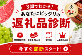 【2026年版】ふるさと納税返礼品診断でおすすめ返礼品をチェック！