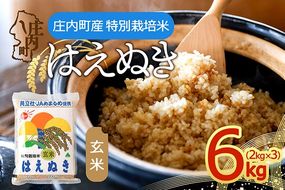 特別栽培米 玄米はえぬき 6kg 2kg×3袋 令和7年産 2025年産 庄内町産 余目産 はえぬき 玄米 ブランド米 米 山形 庄内平野 甘み 粘り バランスの良い ごはん