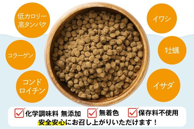 ドッグフード UMINO PET 総合栄養食 800g 1袋 [石渡商店 宮城県 気仙沼市 20565993] 犬 ドックフード ヒューマングレード 成犬用 サメ肉 犬用 成犬 サメ ペット ペットフード