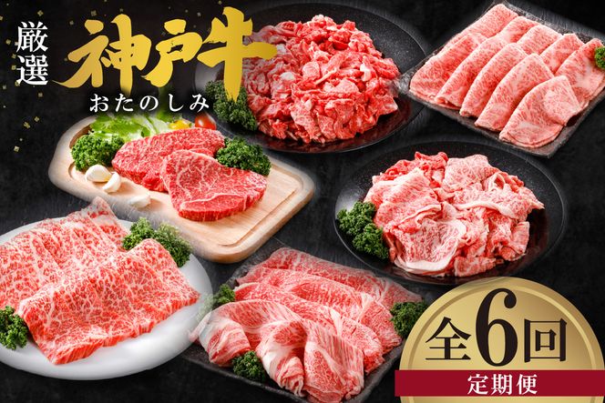 【神戸牛 定期便 平山牛舗の厳選神戸牛 月1回発送 全6回 冷凍 産地直送】細切れ600g 焼肉バラ(カルビ)350g すき焼き500g 赤身ステーキ150g×2 切り落とし1kg 特上ロースすき焼き400g 牛肉 KOBE BEEF 神戸牛 松阪牛 近江牛 三大銘牛 ふるさと納税 おすすめ 返礼品 但馬 神戸 美方 小代 兵庫県 香美町 平山牛舗 KBB 61-14