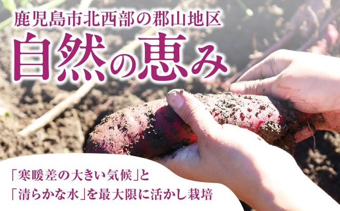 いも農家の極甘焼きいも（べにはるか冷凍 1.3kg）　K270-002