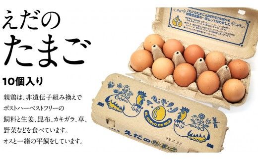 道の駅グランテラス筑西 おススメ！ こだわりの 卵かけご飯 セット ！ 醤油 ＆ お米 付き コシヒカリ 2kg [BW060ci]