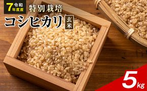 令和7年産 特別栽培米 コシヒカリ 玄米 5kg 静岡県産 色彩選別済 食に意識高い方へオススメ