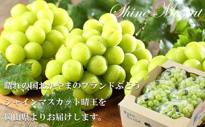 ぶどう 2026年 先行予約 シャイン マスカット 晴王 3房～6房 約2kg 8月下旬～11月下旬発送 ブドウ 葡萄 岡山県産 国産 フルーツ 果物 ギフト 岡山の葡萄 デザート 食後