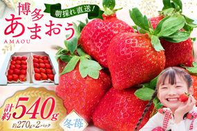 先行受付 【 博多あまおう 】 いちご 約270g×2p / エイチアンドフューチャーズ / 福岡県 筑紫野市 [21760471] 果物 フルーツ いちご イチゴ 苺 朝採り 新鮮