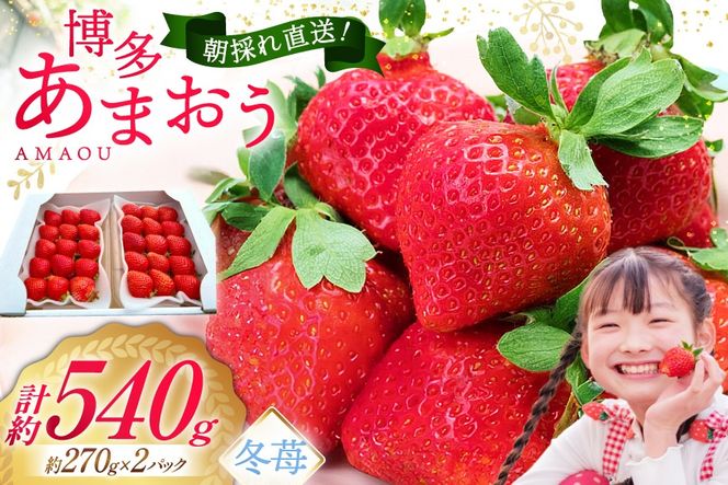 先行受付 【 博多あまおう 】 いちご 約270g×2p / エイチアンドフューチャーズ / 福岡県 筑紫野市 [21760471] 果物 フルーツ いちご イチゴ 苺 朝採り 新鮮