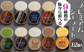 プレミアムジェラート 12個セット アイスクリームセット＜9種類の味から選べる！＞ 100mlカップ ゆあさジェラートラボラトリー【kztb700】