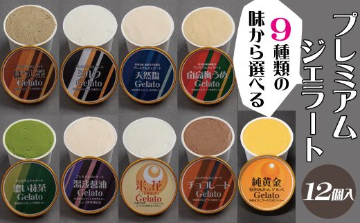 プレミアムジェラート 12個セット アイスクリームセット＜9種類の味から選べる！＞ 100mlカップ ゆあさジェラートラボラトリー【kztb700】