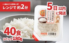 K1464B 境町産こしひかり使用 低温製法米パックライス 180g×40個