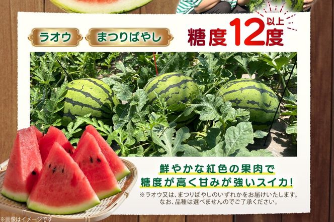 AJ456 【令和8年度出荷分】 湧水の里 モリファーム 大玉スイカ ラオウ まつりばやし 4L 10～13kg 1玉 [ 先行予約 数量限定 すいか スイカ 西瓜 フルーツ 果物 長崎 長崎県 島原市 ]