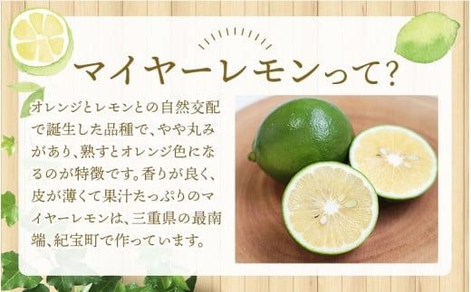 はぎファームのマイヤーレモン ３kg 【2025年10月～2026年1月下旬の期間で順次発送】 / レモン 国産 マイヤーレモン 【hgf001A】
