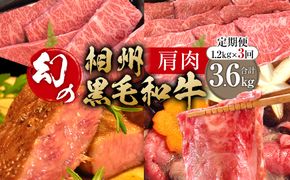 【牛肉 定期便 3回】 幻の相州黒毛和牛肩肉 1.2kg×3回 計3.6kg【相州黒毛和牛 相州牛 幻の牛肉 極上の旨味と風味 キメ細かな上質の脂 様々な料理に ブランド牛 ブランド牛肉 神奈川特産品 神奈川県 小田原市 】 142069_BL033