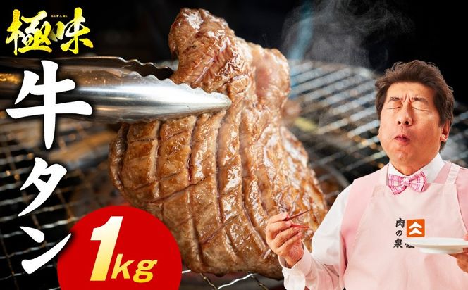 mrz0292 牛たん 食べ比べ 1kg 食べ比べ【氷温熟成×旨塩ダレ 小分け 焼肉用 厚切り 薄切り 牛タン 牛肉 訳あり サイズ不揃い】