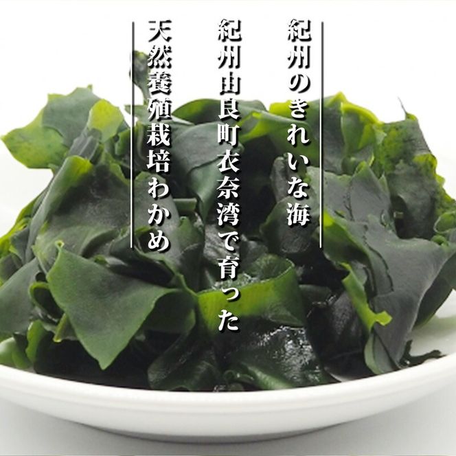BB6220_紀州衣奈産乾燥わかめ　150g×8パック(2026年産)