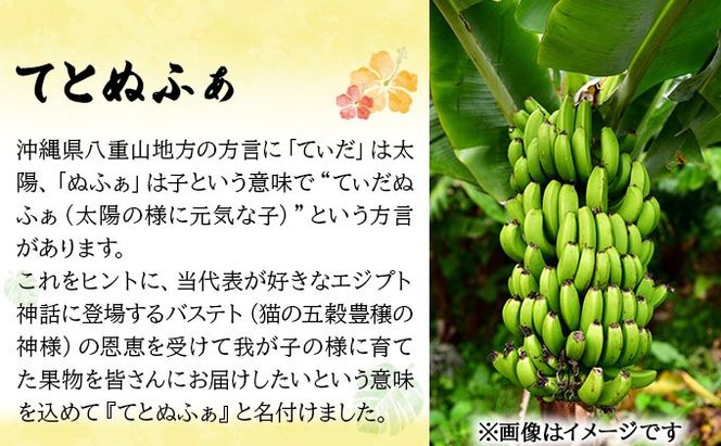 【先行予約 2026年5〜10月順次発送】バナナ好きに届けたい！！完全無農薬栽培 もっちり食感がやみつきの希少な国産『プレミアム島ばなな』贅沢に1房丸ごと約1.5-2kgお届け！！