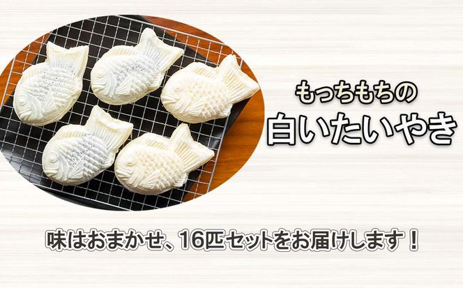 もちもち 白い たいやき 16匹 セット