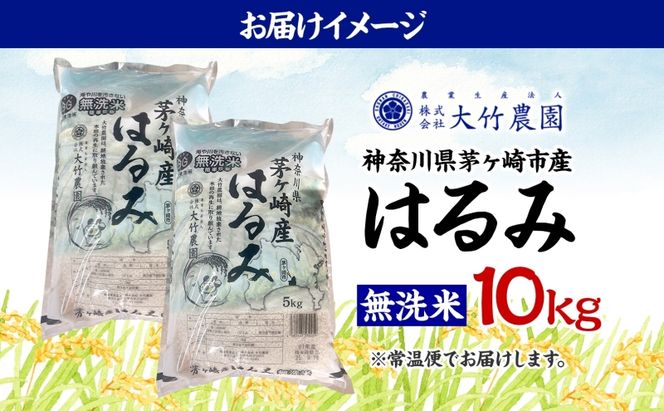 茅ヶ崎市産 はるみ 無洗米 10kg 5kg×2 特A 甘み 粘り つぶ感 しっかり ふっくら つやつや 冷めても美味しい 白米 精米 神奈川県産 お米 米 コメ こめ 大竹農園 神奈川県 茅ヶ崎市