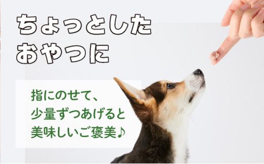 登別産エゾシカ肉のドッグフード【エゾリッチ】選べる4点セット