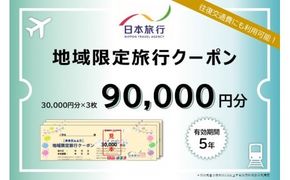 沖縄県石垣市　日本旅行　地域限定旅行クーポン90,000円分【チケット 旅行 宿泊券 ホテル 観光 旅行 旅行券 交通費 体験 宿泊 夏休み 冬休み 家族旅行 ひとり カップル 夫婦 親子 トラベルクーポン 沖縄県石垣市旅行】NR-3