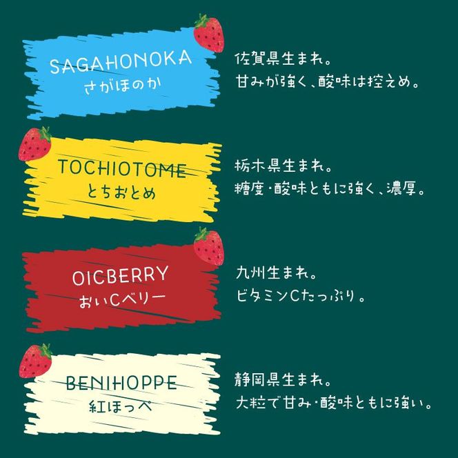 1215 VEGESORBET ベジソルベ 4種 食べ比べ アイスセット　N085-YZA733