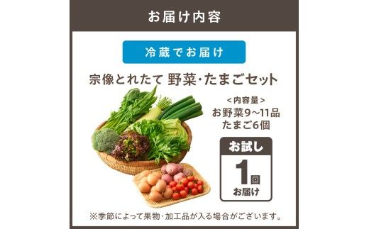 【一週間以内に発送】宗像とれたて　野菜・たまごセット【オアシス】_HA0778