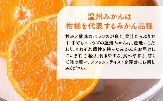 【先行予約】【訳あり】温州みかん 10kg ※離島への配送不可（2026年11月上旬より順次発送） IKTF028