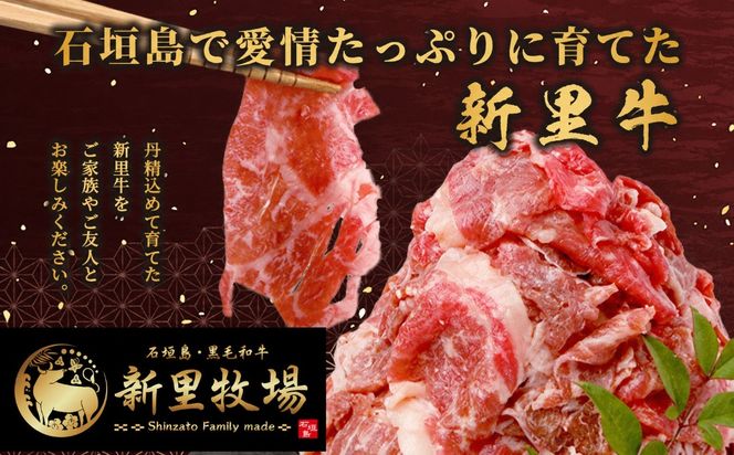 石垣島産 黒毛和牛 新里牛 多用途抜群！ 切落し (500g×1) 500g SZ-13