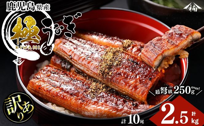 yuzuszy󂠂zc̋ɂȂĂ10(v2.5kgȏE1250g`289g)? j7-002