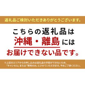 【先行予約】 [訳あり]  シャインマスカット 2房 計1kg～1.2kg（1房 500～600g）＜出荷時期：2026年10月上旬～10月中旬ごろ＞【数量限定 期間限定 果物 果物類 フルーツ ぶどう ブドウ 葡萄 マスカット 秋田 にかほ】