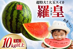 BG060【令和9年度出荷分】超特大！大玉スイカ～羅皇（ラオウ）～（10kg以上）[先行予約 数量限定 すいか スイカ 西瓜 フルーツ 果物 大玉 長崎 長崎県 島原市]