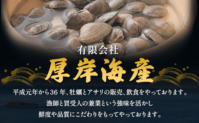 【3カ月 定期便 】訳あり 北海道 厚岸産 砂出し済み 活あさり 1kg×2 (合計2kg) 【厚岸海産】[ アサリ 魚貝 海鮮 大粒 美味しい 栄養 旨み 砂出し 水洗い 冷蔵 便利 ]