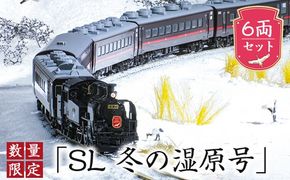 数量限定「SL冬の湿原号」C11 171+14系500番台 6両セット（1/150スケール精密鉄道模型） F4F-7753　121-1930-01