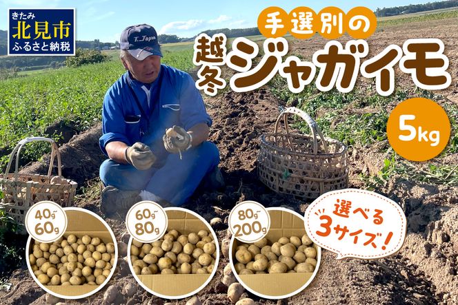 ykCkszy\F2026N2{珇zyIׂ3TCYzF삳̎EAIʂ̉z~WKC 5kg (   Iׂ )y167-0003-2026z